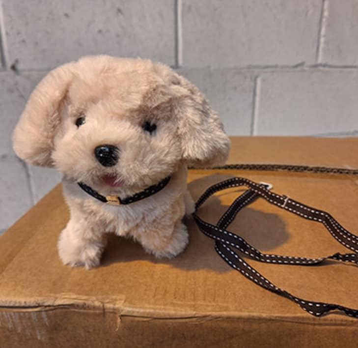 英国产品召回：Walking Toy Dog — 窒息与勒颈风险